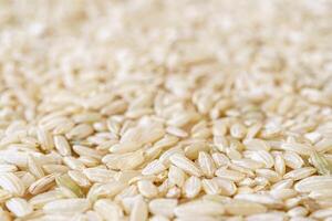 Full frame close up texture of brown rice for food and nutrition background healthy eating and cooking concepts with copy space pattern of organic grains. photo
