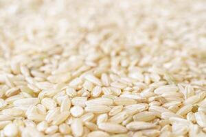 Full frame close up texture of brown rice for food and nutrition background healthy eating and cooking concept with copy space pattern of organic grains. photo