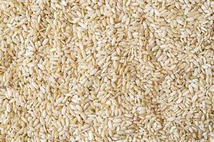 Close up texture of brown rice for food and nutrition background healthy eating and cooking concept with copy space pattern of organic grains. photo