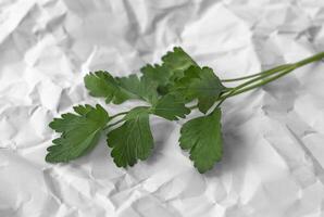 Sprig of parsley on crumpled paper close up photo