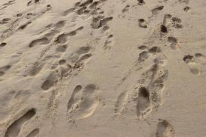 ripples on the sand beach photo