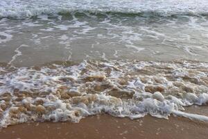 Ocean shore with sandy beach photo
