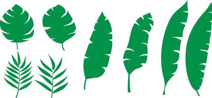 Set of tropical foliage collection. Flat design leaf elements vector