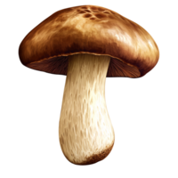 Detailed illustration of a Brown Cap Mushroom on a transparent background, showcasing its natural texture and organic form for culinary and scientific concepts png