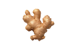 Fresh ginger rhizome on a transparent background , showcasing its knobby texture and tan color Concept of healthy eating, spice, and natural remedy png
