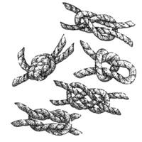 rope knot set sketch drawn vector