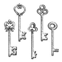 skeleton key set sketch drawn vector