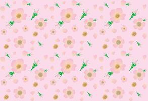 Abstract of pink rose flower with petal on pink background. vector
