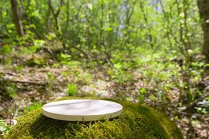 Podium on mossy ground in a lush forest, perfect for displaying products in a natural setting during daylight photo