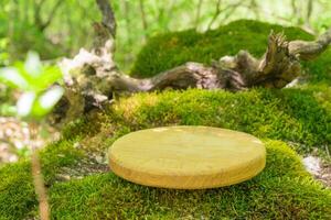 Natural wooden podium set on a moss-covered surface in a lush forest environment during daylight hours photo