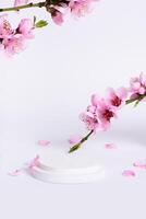 Spring white background with podium or platform and pink flowers angle view vertical photo