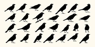 Bird Silhouette Collection - 30 Unique Designs for Avian - Themed Graphics and Prints vector