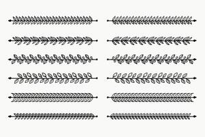 Hand - drawn floral vine line art divider for text layout separator decoration element collection. vector