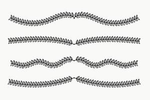 Hand drawn nature floral vine line divider for text layout separator decoration element set vector