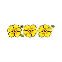Three yellow hibiscus flowers on a white background can be used as a graphic design vector