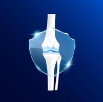 Leg knee joint with transparent glass shield in front. Vitamin D and minerals calcium magnesium protect bone cartilage. vector