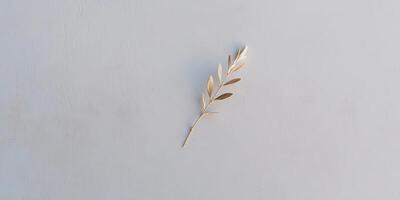 Minimalistic olive branch on light background for peace and nature concept photo