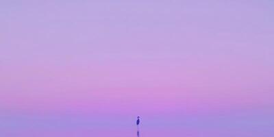 Serene minimalist scene of a flamingo at sunset for nature-inspired design photo