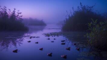 Frogs Resting on Water Lilies in a Misty Twilight River photo