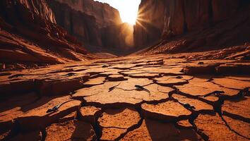 Lizards Walk on Cracked Desert Land with Canyon at Sunset photo
