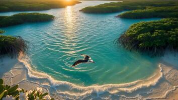 Pelican Flying Over Tropical Beach at Sunset with Turquoise Water photo