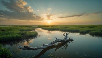 Driftwood Floating on Calm Water at Sunset with Sky Reflection photo