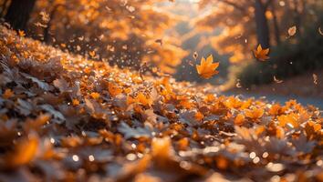Falling Autumn Leaves Creating a Golden Path in the Woods photo
