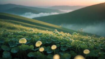 Green Meadow and Distant Hills at Sunrise with Mist Patches photo