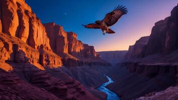 Eagle Soaring Over Canyon with River at Sunset Natural Landscape photo