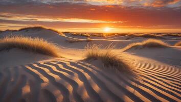 Sand Dunes at Sunset with Golden Light and Grass Landscape photo