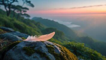 Feather Resting on Mossy Rock Overlooking Mountain Range at Sunset photo
