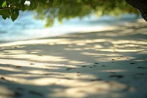 sandy beach texture illuminated by soft shadows of trees, minimal tone, photo