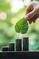 a hand placing a leaf on bar graph representing environmental progress photo