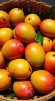 A collection of vibrant mangoes, freshly harvested and ready to be enjoyed. photo
