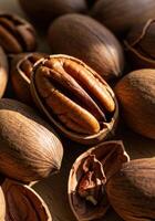 A detailed capture showing open pecan shells, revealing the rich texture of the nuts. photo