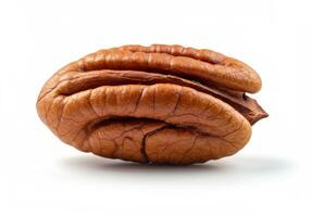A single, freshly harvested pecan nut isolated on a pure white background. photo