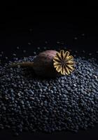 A detailed shot of poppy seed pod resting on a bed of tiny, scattered seeds. photo