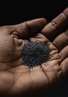 A hand delicately holds a collection of small, dark seeds against a dark background. photo