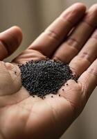 Handful of dark poppy seeds resting on a palm, captured in fine detail. photo