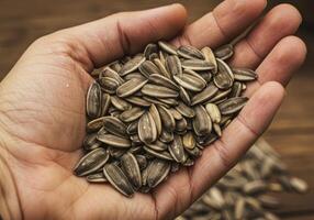 Close up shot of a hand holding a pile of delicious sunflower seeds. photo