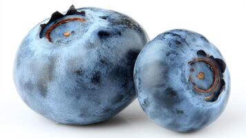 2 Plump Blue Blueberries Isolated on White Background photo