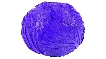 Vibrant Purple Cabbage Isolated on White Background photo