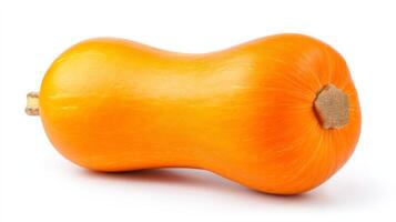 Bright Orange Butternut Squash Isolated on White Background photo