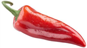 Signle Bright Red Chili Pepper Isolated on White Background photo