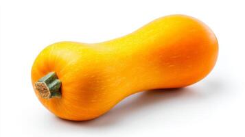 Bright Orange Butternut Squash on White Background photo
