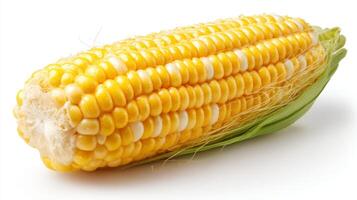 Bright Yellow Corn Kernel Isolated on White Background photo
