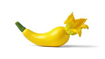Bright Yellow Squash with Blossom on White Background photo