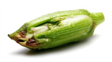Close up of a Crunchy Green Celery Stalk Isolated on White Background photo