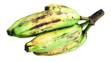 Closeup of a Bunch of Green Plantains Isolated on White Background photo
