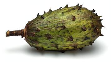 a Green Soursop Fruit on White Background photo